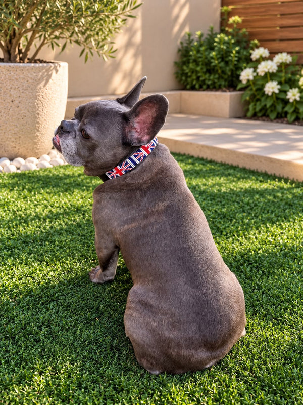 UK Flag Beaded Dog Collar