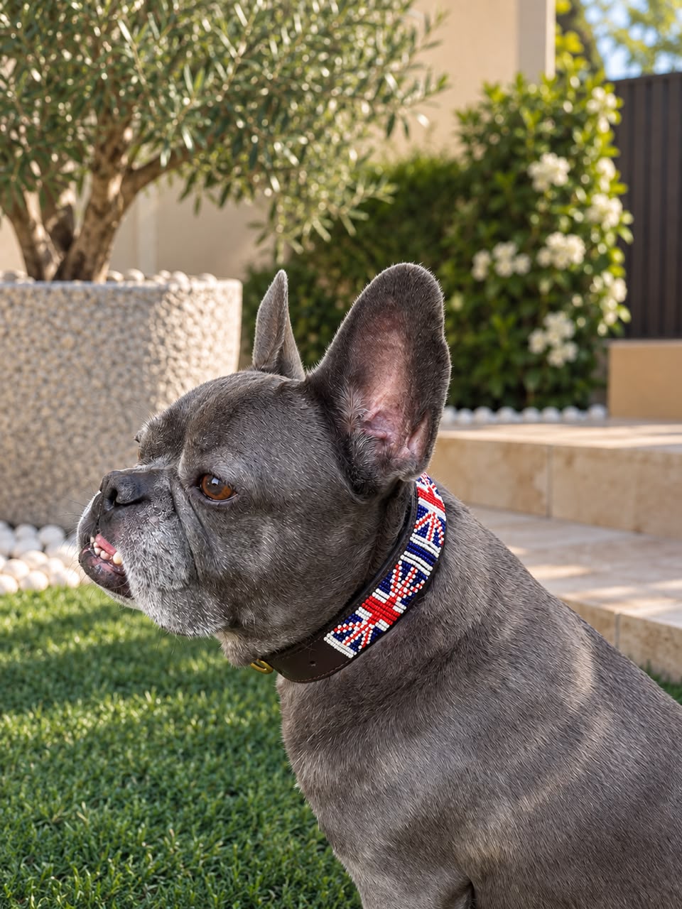 UK Flag Beaded Dog Collar