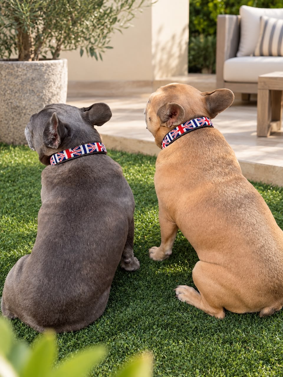 UK Flag Beaded Dog Collar