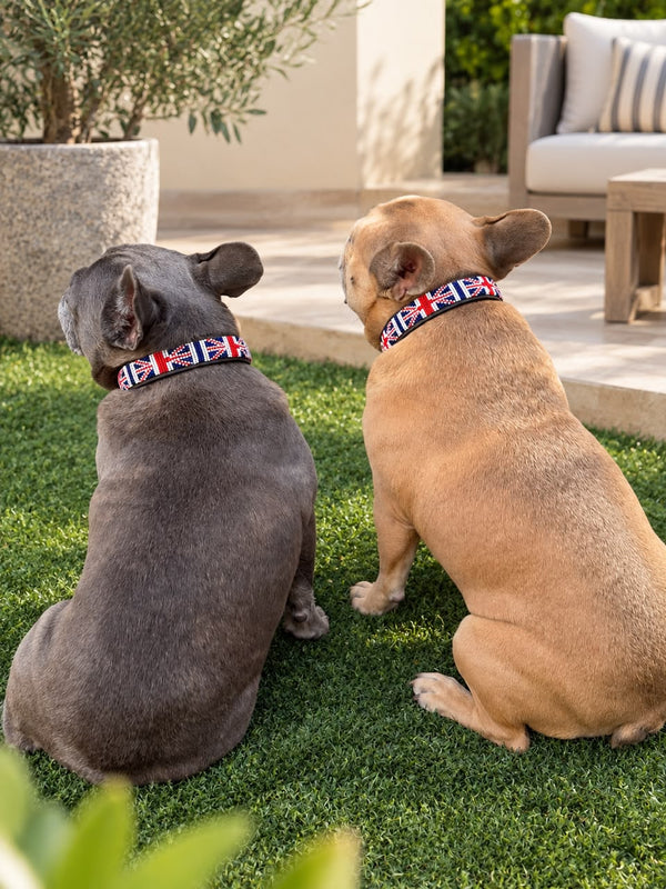 UK Flag Beaded Dog Collar